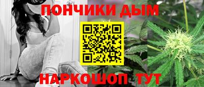 PSILOCYBIN Кинель
