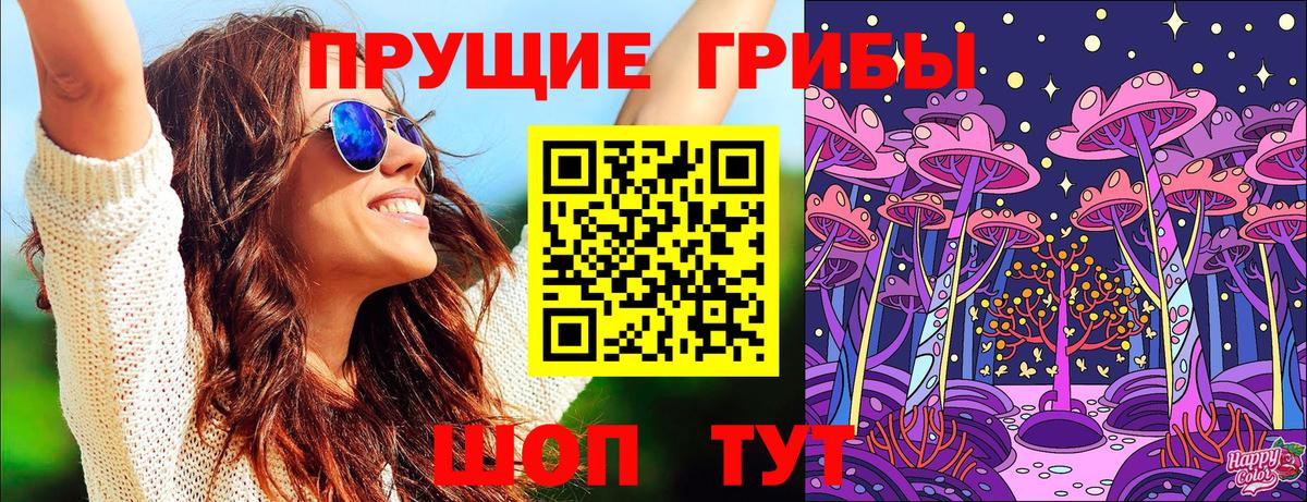 Костомукша  Галлюциногенные грибы Psilocybine cubensis  Вход с VPN 